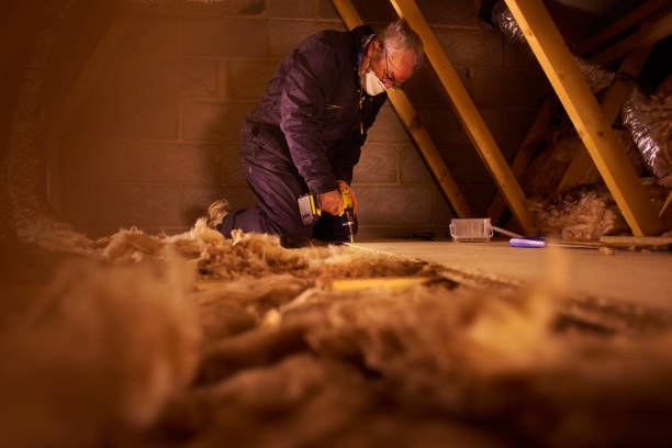 Professional Insulation Contractor in Montrose, CO